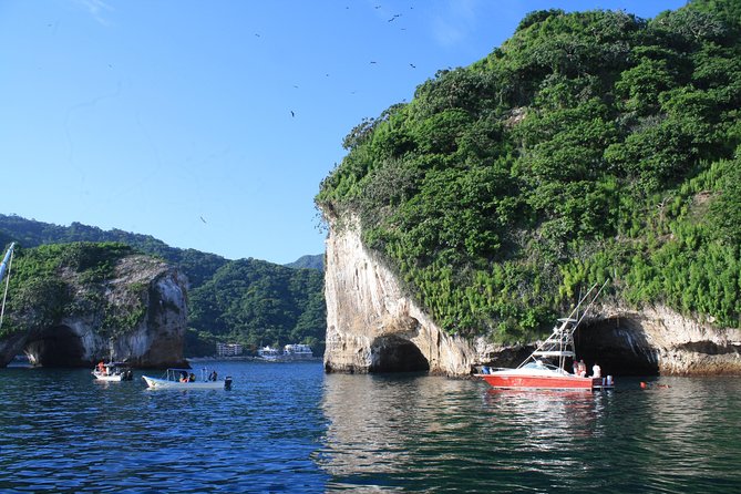 Small Group Snorkeling in Los Arcos, Puerto Vallarta - Key points to know before you book