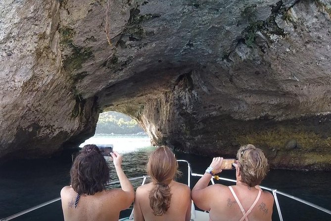 Small Group Snorkeling in Los Arcos, Puerto Vallarta - Why the marine biologist guide changes the experience