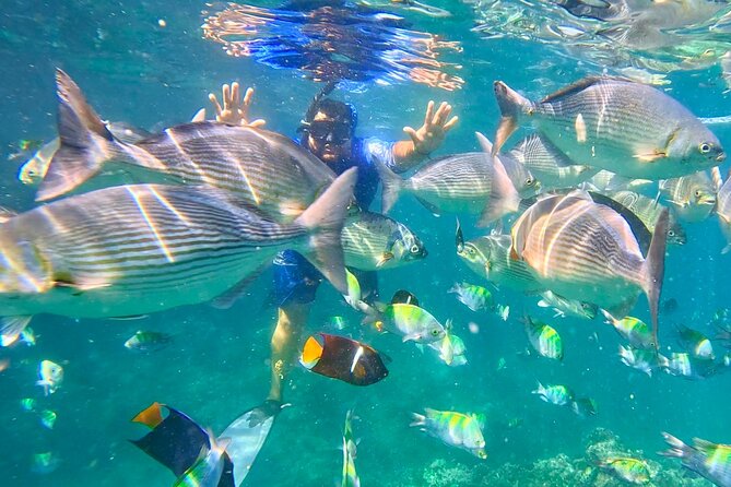 Snorkeling at Los Arcos 5 islands Hidden Beach and Cliff Jumping - A compact Puerto Vallarta adventure on the water
