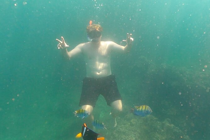 Snorkeling at Los Arcos 5 islands Hidden Beach and Cliff Jumping - Drinks, equipment, and what you should bring
