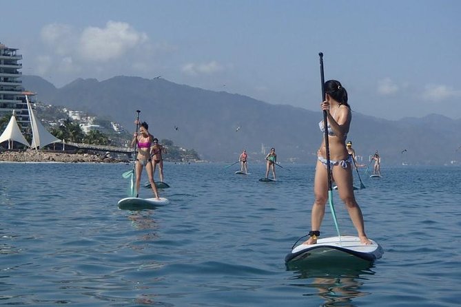 Stand-Up Paddle Board Lesson in Puerto Vallarta - Learning the Basics on the Beach