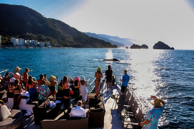 Sunsets and Whales Mega Yachts ALL INCLUSIVE: Puerto Vallarta - Whale Watching in the Best Months