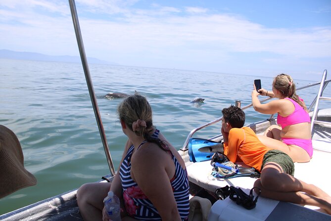 Swim and Paddle Board with Wild Dolphin Pods in Puerto Vallarta - The ride toward river mouths and dolphin habitat