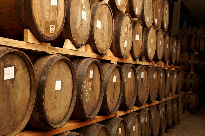 Tequila Jalisco Full Day Tour from Puerto Vallarta - Key points at a glance
