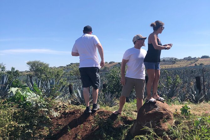 Tequila Jalisco Full Day Tour from Puerto Vallarta - The volcanic views before Tequila