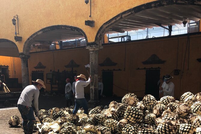 Tequila Jalisco Full Day Tour from Puerto Vallarta - How the small group changes the experience