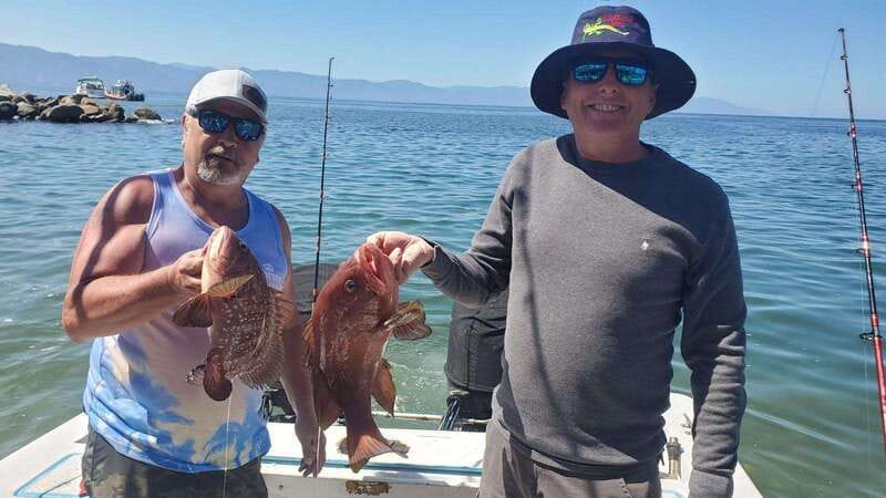The best sport fishing - Key points to know before you book