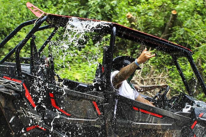 Unique Experience on ATVs or Razer through the Jungle! - Isla Cuale and the route’s scenic pauses