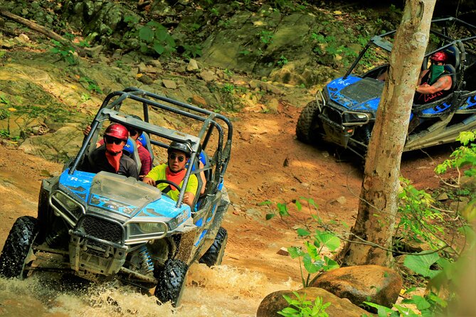 Unique Experience on ATVs or Razer through the Jungle! - Is $130 a fair price?
