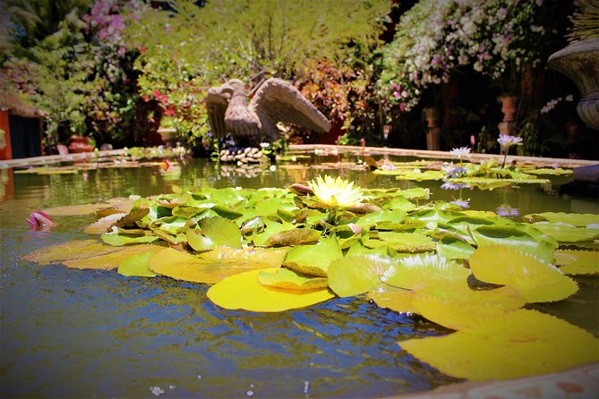 Vallarta Botanical Garden and Tequila Tasting from Puerto Vallarta - How much garden guiding should you expect?