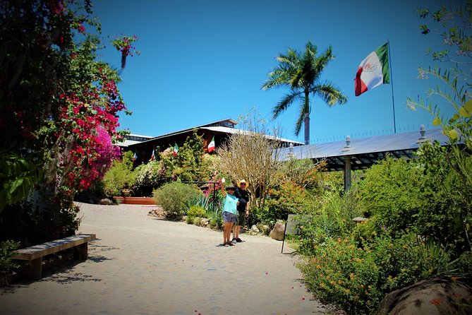 Vallarta Botanical Garden and Tequila Tasting from Puerto Vallarta - The road south from Puerto Vallarta
