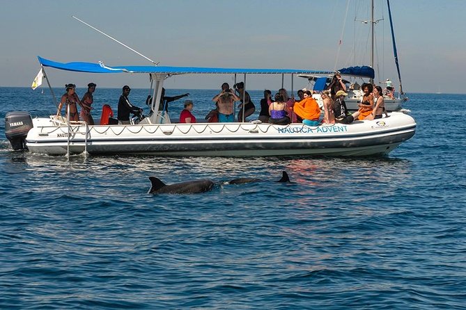Whale and Dolphin Watching with a Biologist in Puerto Vallarta - A small boat that keeps the animals in view