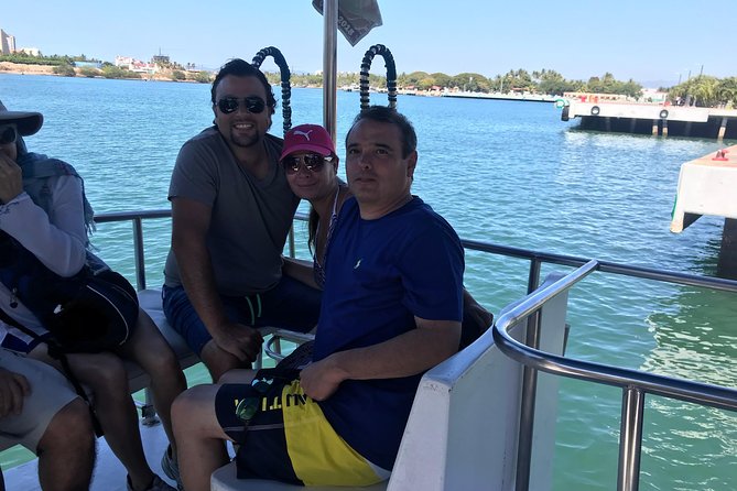 Whale & Dolphin Watching Cruise in Puerto Vallarta All Inclusive - What the morning actually looks like
