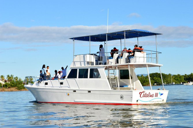 Whale & Dolphin Watching Cruise in Puerto Vallarta All Inclusive - Rough water and seasickness