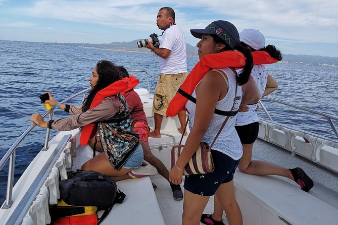 Whale Encounter Puerto Vallarta - Searching the bay for whales