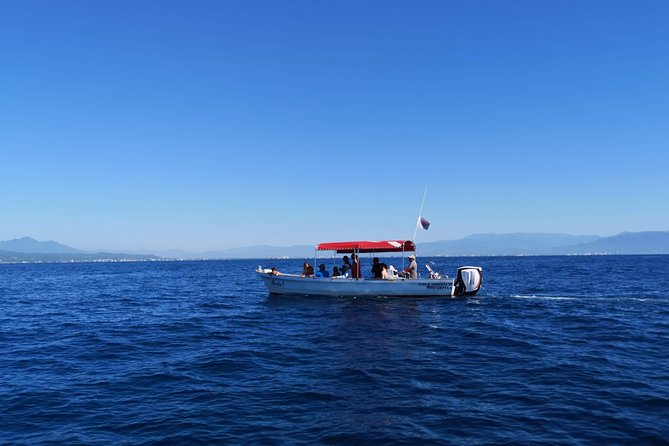 Whale Encounter Puerto Vallarta - Encounters with mothers, calves, and breaching whales
