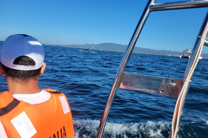 Whale watching 3 hours in Puerto Vallarta - Is the $48 fare good value?