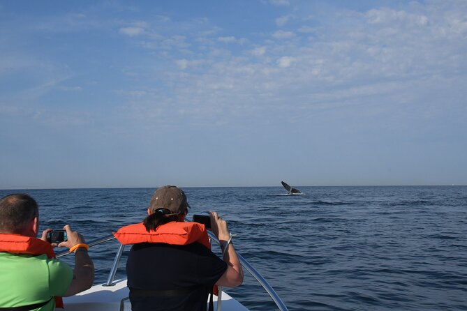 Whale Watching Adventure – Led by a Marine Biologist - Food, comfort, and what to bring