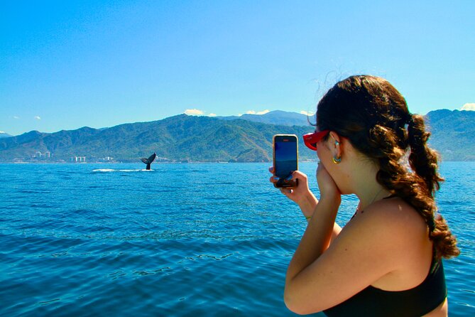 Whale Watching and Los Arcos 5 Islands Adventure - Key points to know before you book