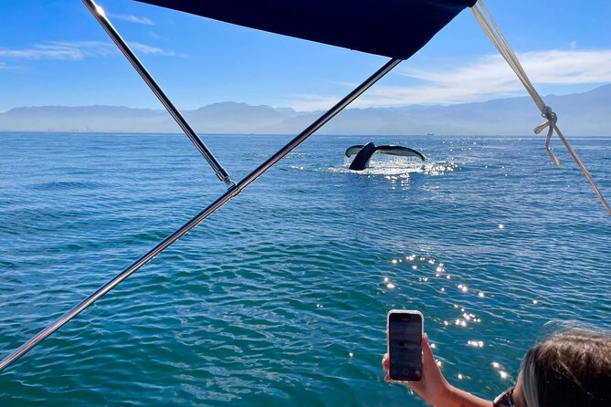 Whale Watching and Los Arcos 5 Islands Adventure - Two hours searching Banderas Bay for whales