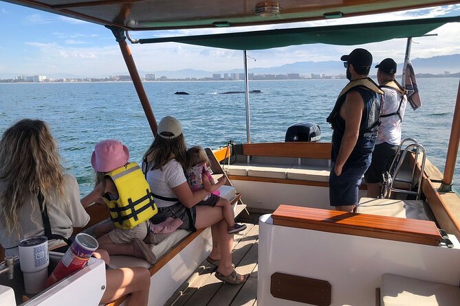 Whale Watching Experience – 4 Hours in Puerto Vallarta - Key points at a glance