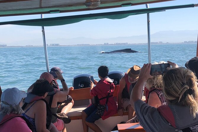 Whale Watching Experience – 4 Hours in Puerto Vallarta - Leaving Marina Los Peines