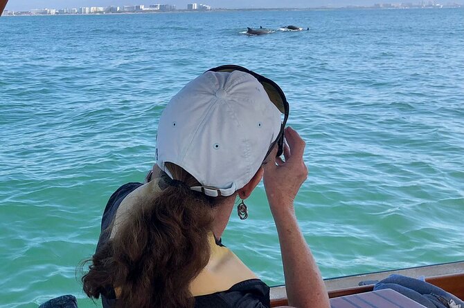 Whale Watching Experience – 4 Hours in Puerto Vallarta - Watching whales at the surface
