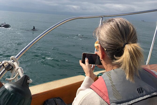 Whale Watching Experience – 4 Hours in Puerto Vallarta - Paninis, fruit, and reusable cups