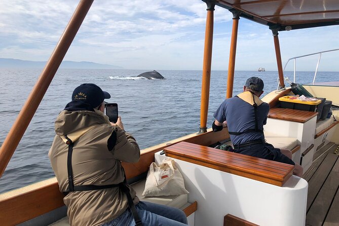 Whale Watching Experience – 4 Hours in Puerto Vallarta - Is $149.44 a fair price?