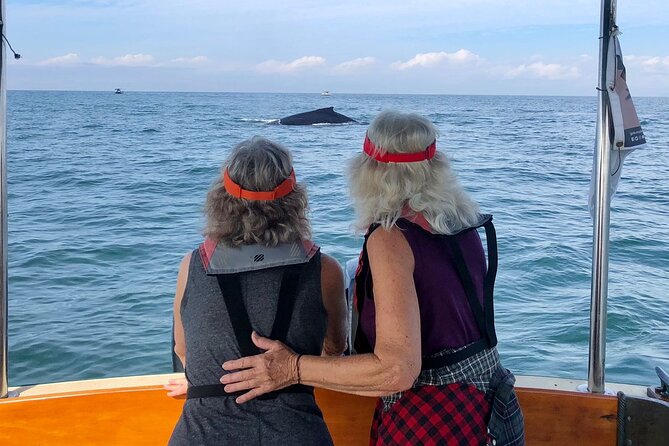 Whale Watching Experience – 4 Hours in Puerto Vallarta - Searching the Bay of Banderas