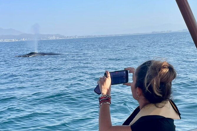 Whale Watching Experience in Puerto Vallarta - Why the whale watching works so well