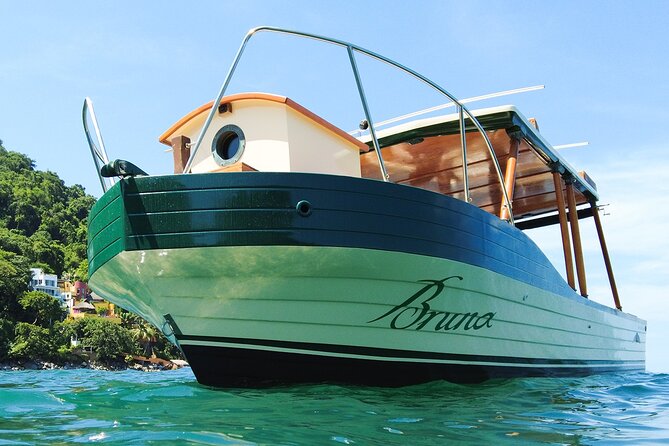 Whale Watching Experience in Puerto Vallarta - Safety and respect for the animals