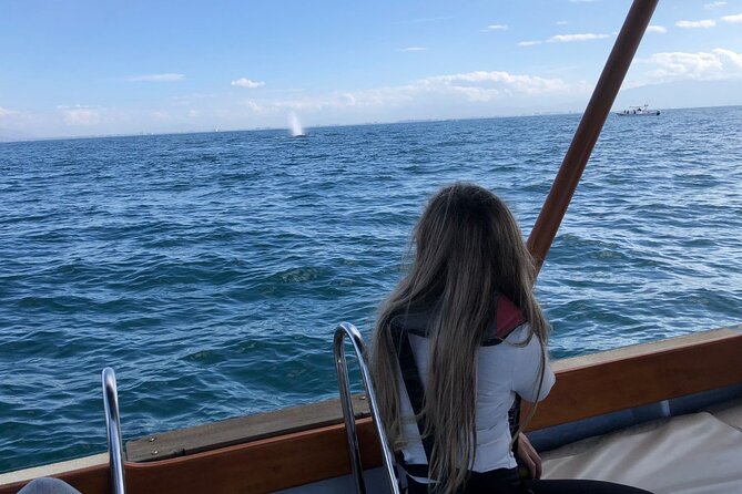 Whale Watching Experience in Puerto Vallarta - Who will enjoy this Puerto Vallarta outing