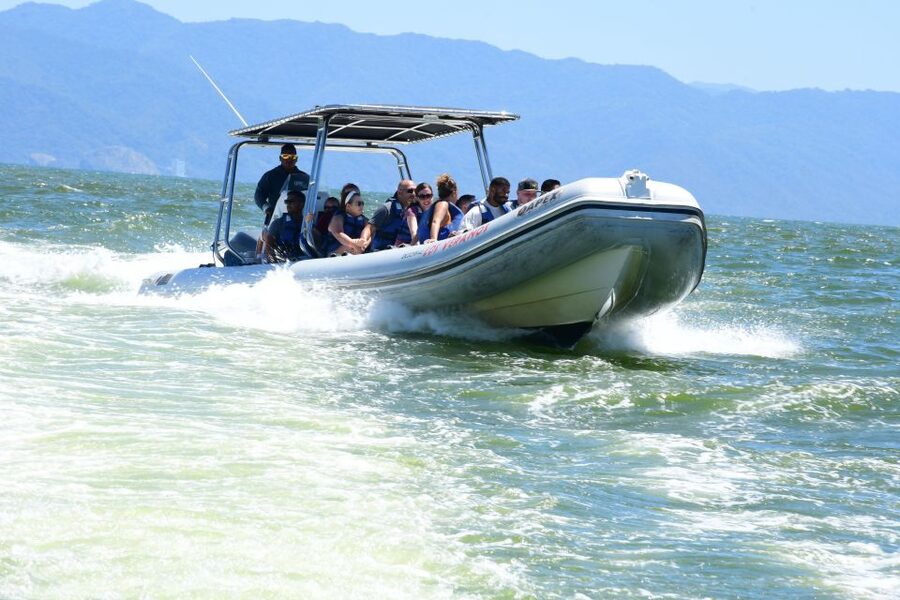 Whale Watching Guaranteed Experience in Puerto Vallarta - Key points to know before you book
