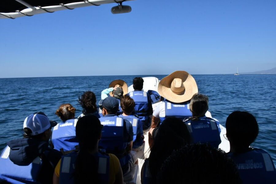 Whale Watching Guaranteed Experience in Puerto Vallarta - A three-hour search by high-speed boat