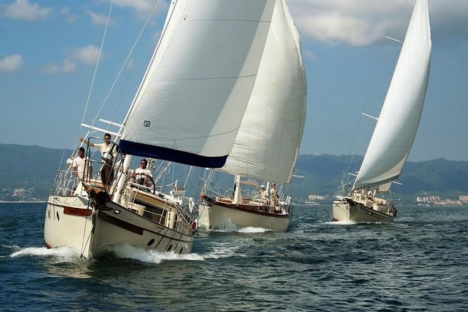 Whale Watching The Best Of Puerto Vallarta - Is $99 a Fair Price?