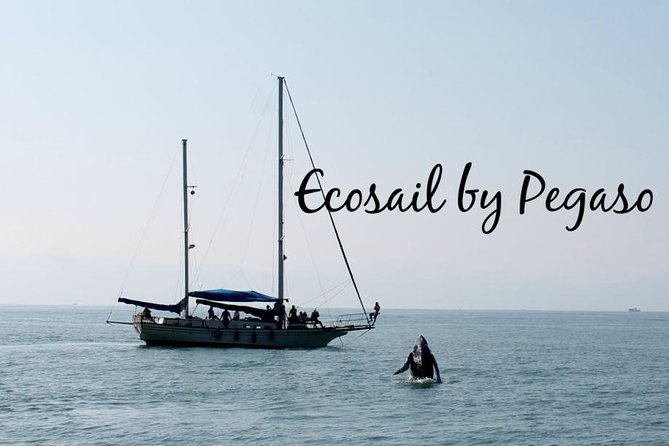 Whale Watching The Best Of Puerto Vallarta - Weather, Cancellation, and Planning Details