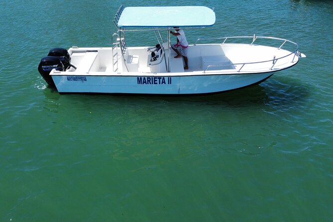 Whale watching - What the two-hour whale search is like