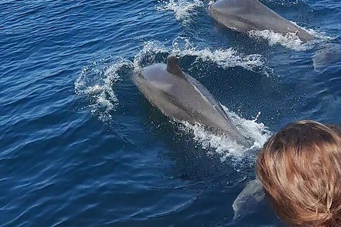 Wild Dolphin Encounter & Snorkeling Adventure - The Marina Vallarta briefing sets the tone