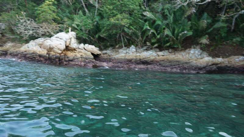 Yelapa: Catamaran Cruise with Lunch and Open Bar - Is $84 a fair price?