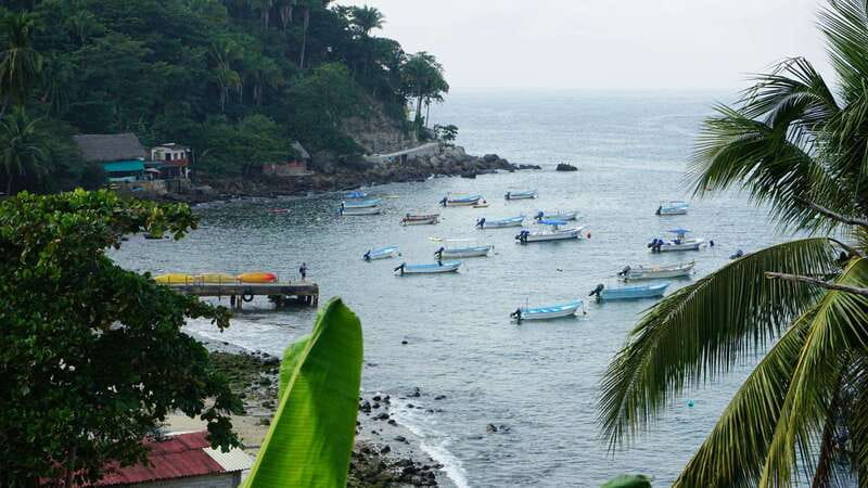 Yelapa: Catamaran Cruise with Lunch and Open Bar - Who should choose this Yelapa cruise?