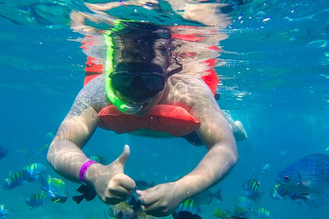 Yelapa Waterfall, BBQ at Exclusive Majahuitas Beach & Open bar - The crew, music, and ride home