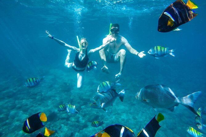 Yelapa Waterfall, BBQ at Exclusive Majahuitas Beach & Open bar - Is the $99 price good value?